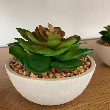 Suite Like Sweet-Refugio Tranquilo Pansiyon *